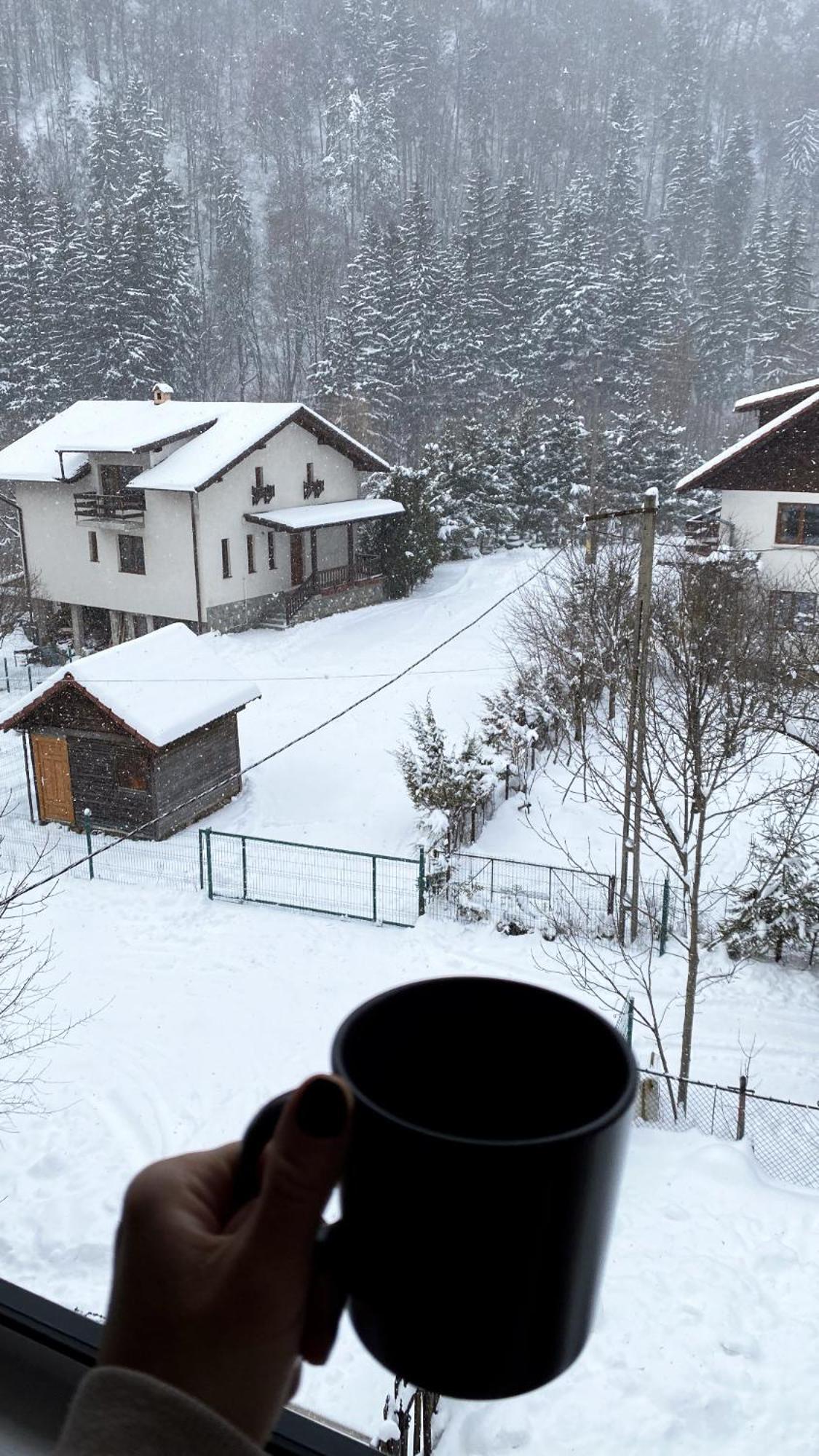 Queen'S Heart Guesthouse Bran  Bagian luar foto