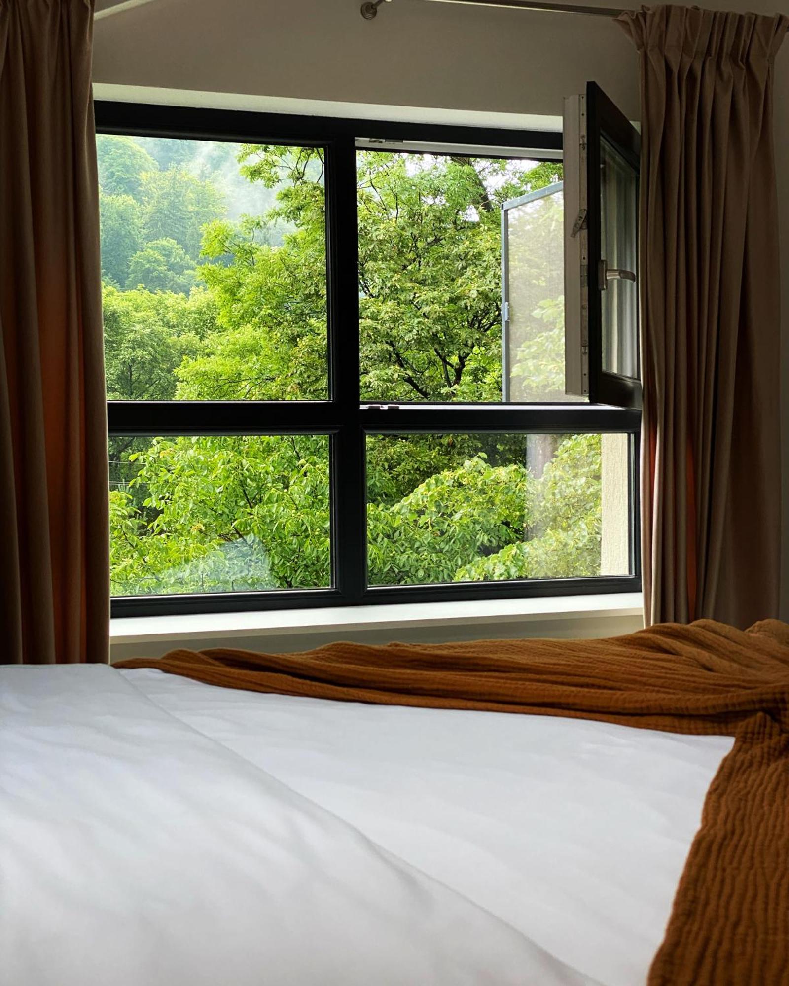 Queen'S Heart Guesthouse Bran  Bagian luar foto